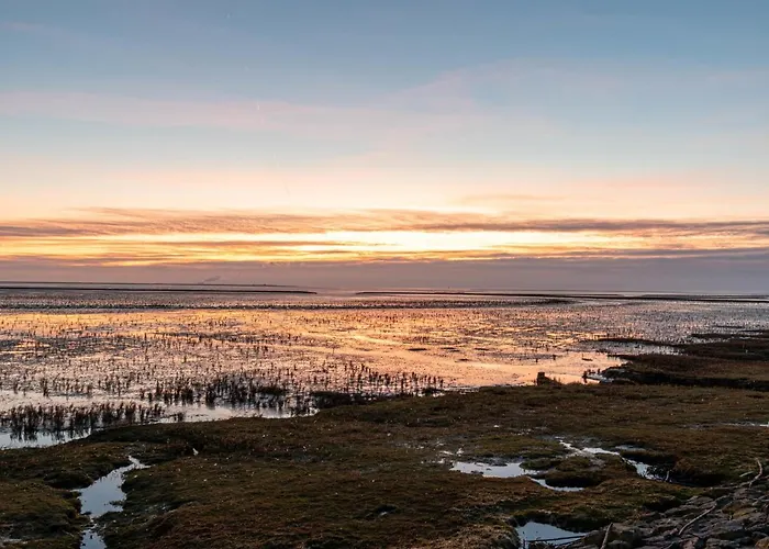 アパート Schwalbennest Ii By Interhome ノルトダイヒ